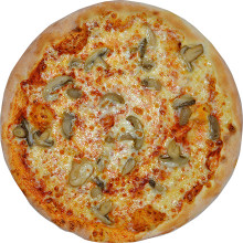 Funghi Funghi