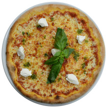 Genovese Genovese